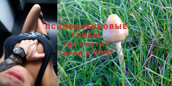 сатива Переславль-Залесский