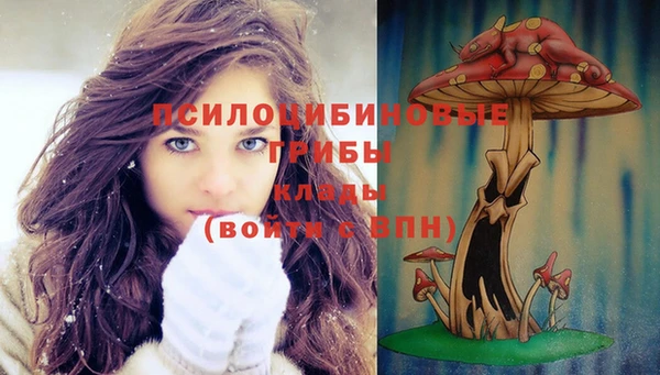 сатива Переславль-Залесский