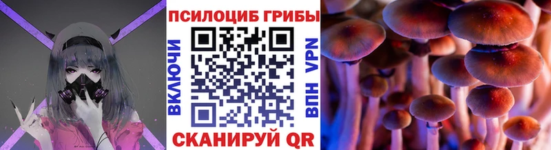 Псилоцибиновые грибы мицелий  Купить где  Щёлково 